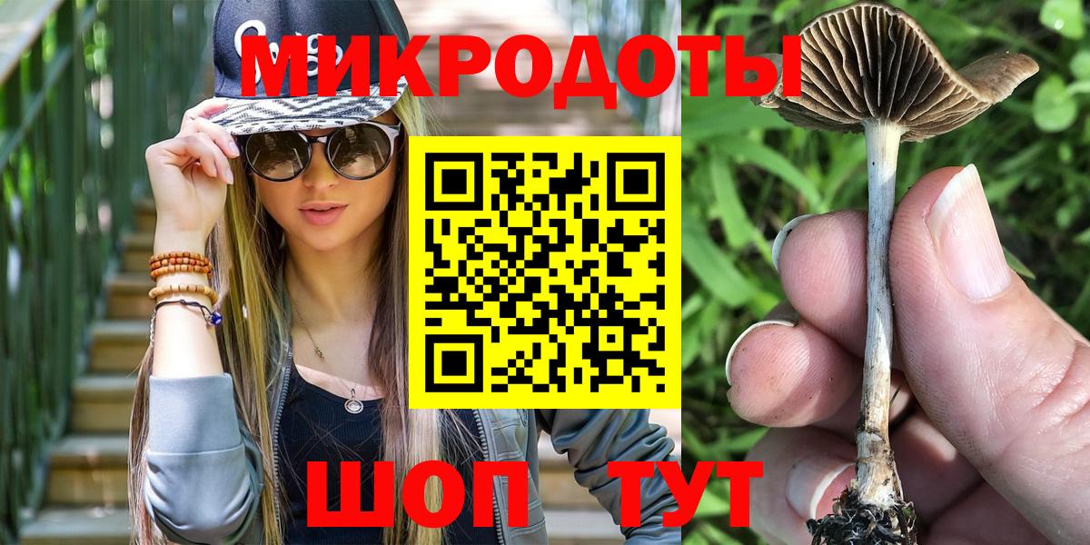 Галлюциногенные грибы Cubensis Долгопрудный