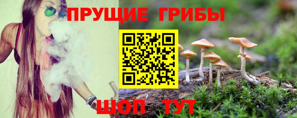 Псилоцибиновые грибы ЛСД  Вход с VPN  Долгопрудный  Галлюциногенные грибы прущие грибы 